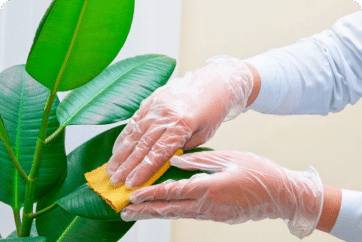 Qu’est-ce que le nettoyage vert ?